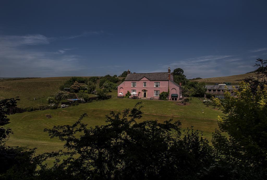 Wood Advent Farm Washford Extérieur photo
